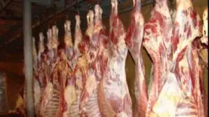 O veste bună: nu ne paște foametea! Avem alimente suficiente