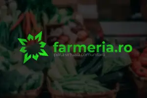 Băiatul olimpic care ajută la salvarea economiei! O nouă platformă gratuită pentru români