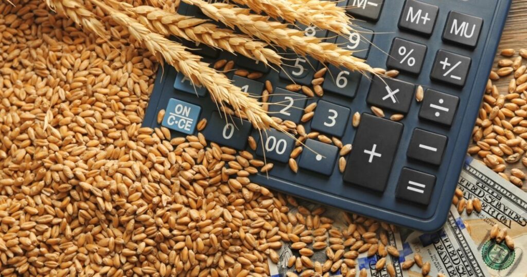 Comerţul mondial cu grâu, afectat grav de secetă și precipitații