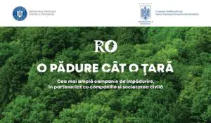 Comoara pierdută a României! Campania plătită unei firme PNL