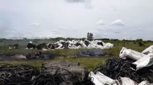 Amplă acţiune de control a Gărzii de Mediu. Descoperire şocantă în apropiere de Bucureşti