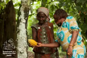 Mars își extinde angajamentul față de cultivatorii de cacao din lanțul său de aprovizionare (P)