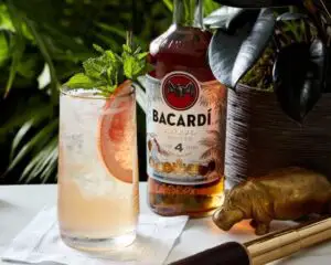 Scăderea vânzărilor de gin lasă loc și altor jucători: Unde se situează … ROMUL?