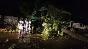 Alertă meteo ANM în România! Un oraș important, lovit de o furtună teribilă! 100 de copaci doborâți, inundații și mașini avariate