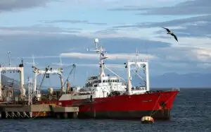 Enigmă totală: 57 de marinari infectați cu COVID după 35 de zile pe mare