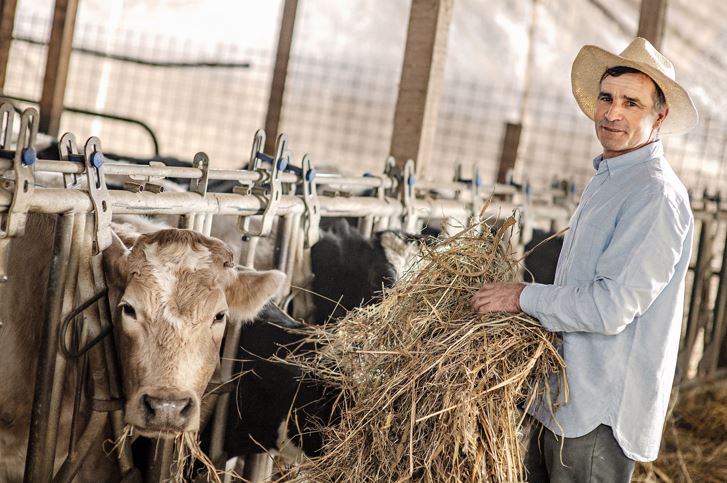 Danone continuă investiţiile în producţia locală de lapte. Producţia a 180 de gospodari locali se va dubla în programul “O șansă pentru familia ta”