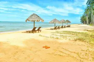 10 Motive pentru a-ți rezerva cazarea la mare anul acesta pe site-ul CazarePeLitoral.ro (P)