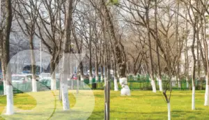 Reabilitarea termică a blocurilor din Sectorul 6 va continua! Anunț important al primarului Gabriel Mutu