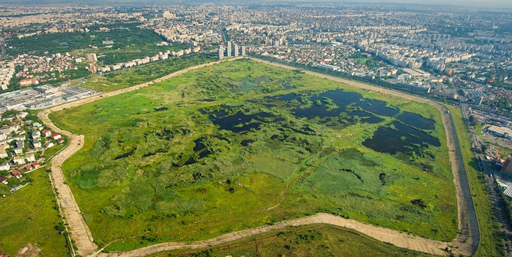 Delta Văcăreşti ar putea pune Bucureştiul pe harta turistică. Care sunt planurile autorităţilor