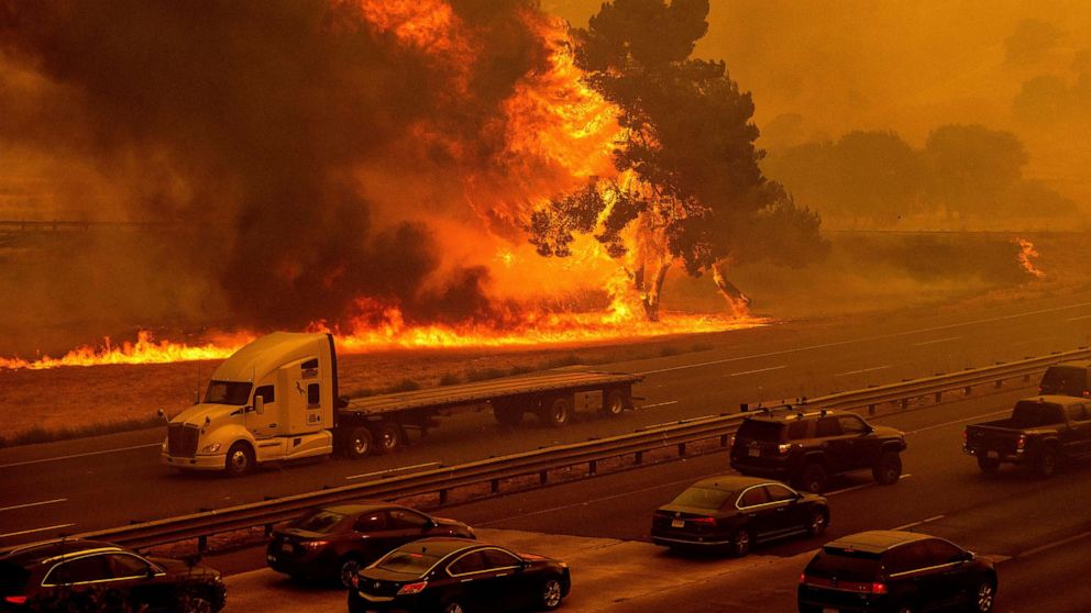 CEO-ul Apple: Incendiile din California şi uraganele sunt dovada schimbărilor climatice. Ce spune Tim Cook despre discuţiile cu Trump