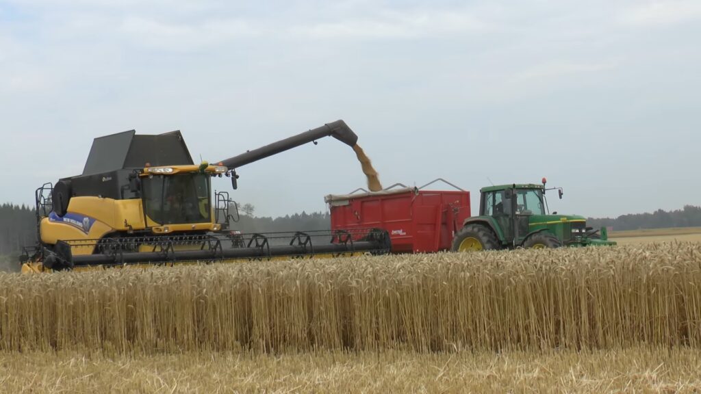 Au dat lovitura! Străinii tocmai au mai cumpărat încă 13.000 de hectare de teren agricol în România