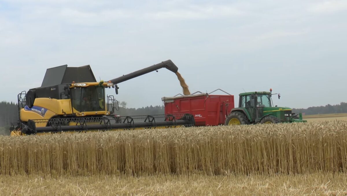 Agricultorii români sunt în prag de faliment! Preţul real pentru un kilogram de grâu este cel mai mic din ultimii ani