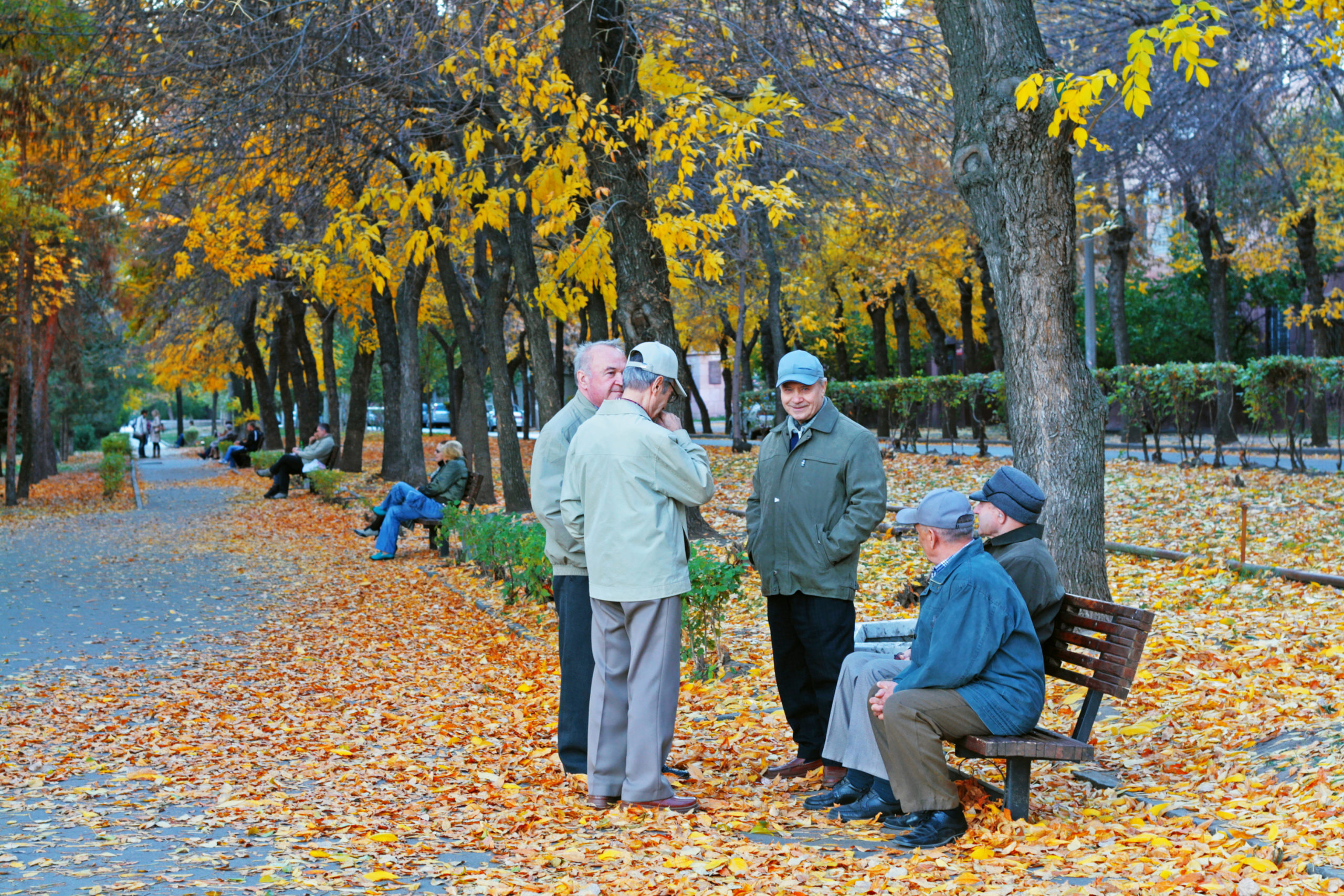 Пенсионеры осенью. Пожилые люди в парке осенью. Пенсионеры прогулки по улице. Одинокая пенсионерка в осеннем парке. Бабушка на осенней прогулке.