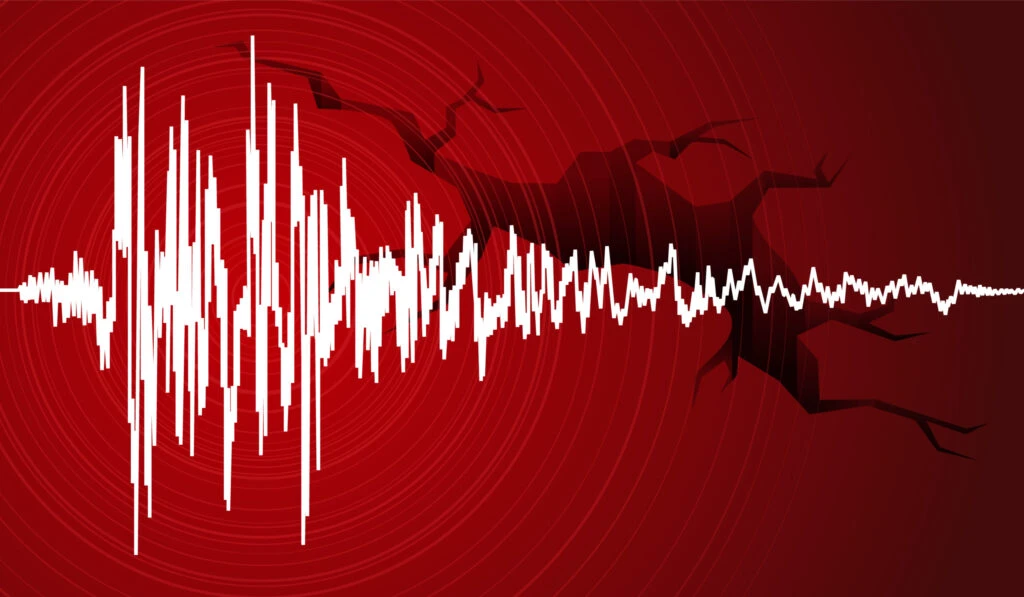 A fost cutremur în România. Unde s-a produs seismul și ce magnitudine a avut