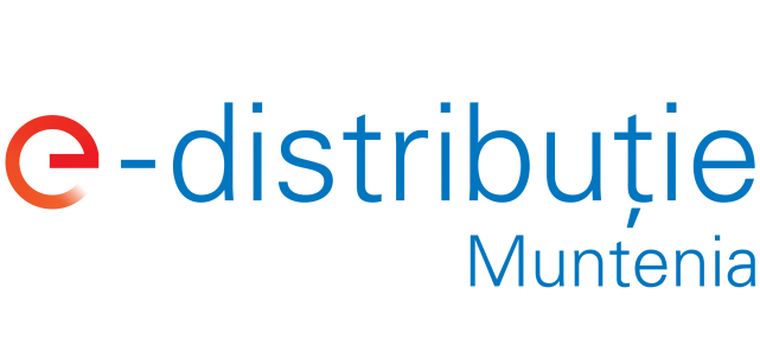 Investiţii importante ale E-Distribuţie Muntenia în modernizarea reţelelor. Au fost cheltuiţi peste 200 milioane de lei în 2020