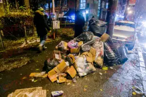 Șobolanii au luat cu asalt parcul Herăstrău. Imagini fără precedent în Capitală