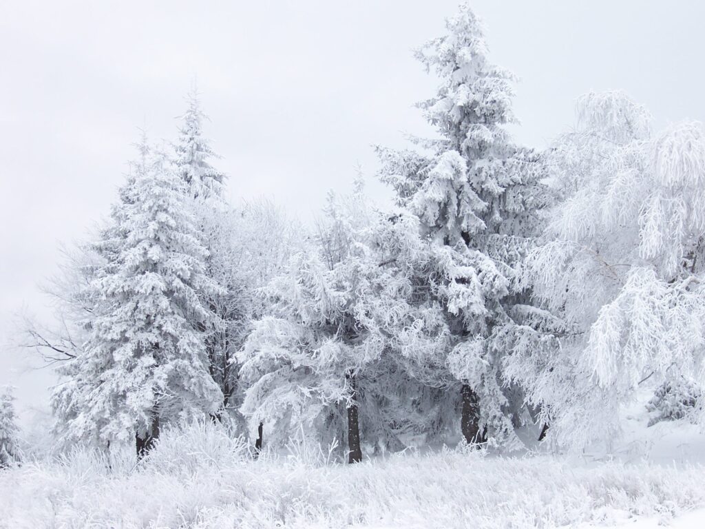 Un val de ninsori lovește România. ANM anunță viscol și zăpadă în 10 județe