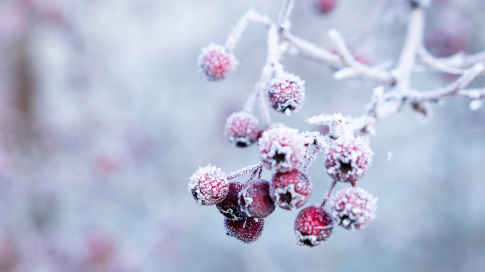 Vine Frigul Vremea O Ia Razna n Rom nia ANM Avertizeaz Vine Frigul Vremea O Ia Razna n Rom nia ANM Avertizeaz