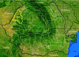 România, 3 decenii de postcomunism. De ce este considerat județul Bihor asul tehnologiei informației?