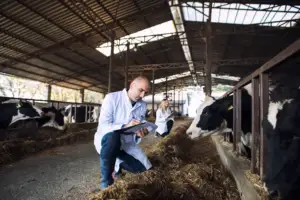 Medicamentul pe care românii îl cumpără masiv! Este foarte periculos. Medicii avertizează