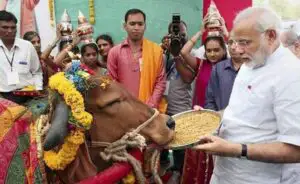 Examen naţional anual în India privind „ştiinţa vacii”. Ce urmăresc autorităţile prin acest demers