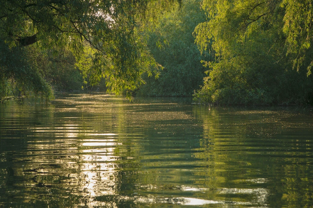 Schimbare majoră pentru protejarea Deltei Dunării! Ce interdicție au introdus autoritățile