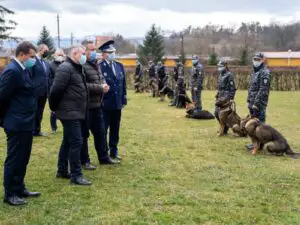 Premieră în România! Autoritățile instruiesc câinii să detecteze persoanele infectate