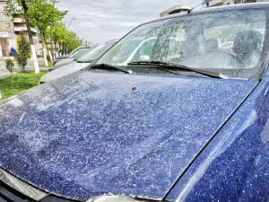 „Bestia africană” a pătruns în România! Vom avea cel mai mare val de caniculă