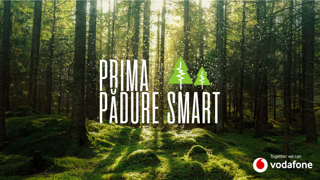 Vodafone anunță prima pădure inteligentă din România