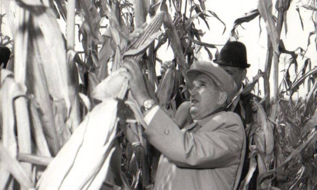 Ultima lovitură pe care Ceaușescu a dat-o agriculturii