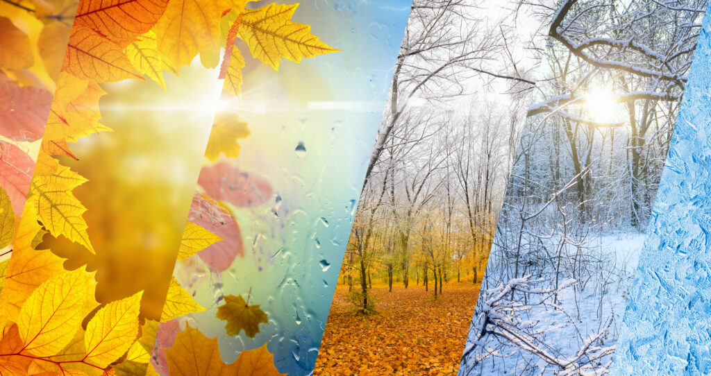 Vine iarna în România! Vremea de luni, 29 noiembrie, anunță schimbări bruște de temperatură