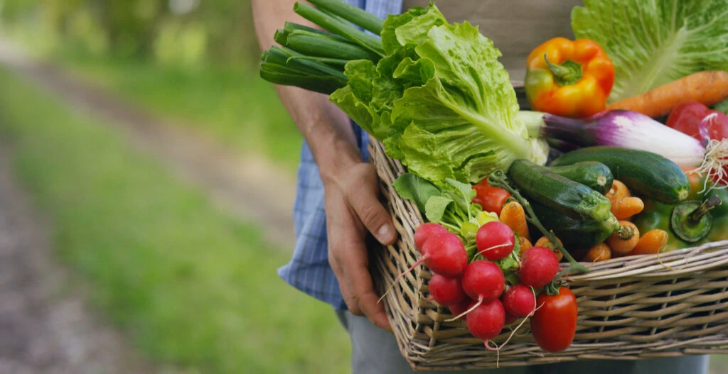 Cum deosebim legumele tratate de cele netratate? Un expert a făcut o demonstrație. VIDEO