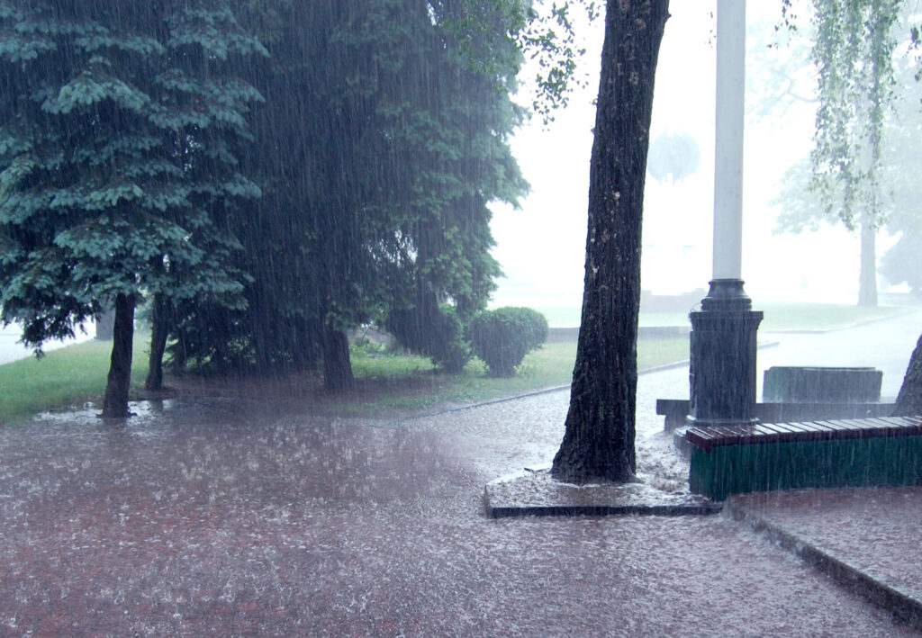 Frigul și ploile lovesc cu putere în România. ANM a venit cu prognoza meteo. Cum va fi vremea