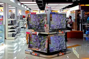 A început Programul Rabla pentru Electrocasnice! Aparate noi, în schimbul celor vechi. Ce vei putea cumpăra?