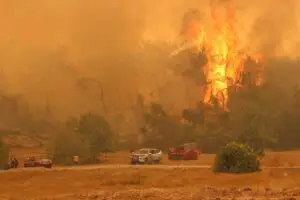 Tragedie în Turcia. Incendiile au ucis mai multe persoane. Haos în sudul țării