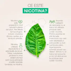Adevărul despre nicotină! Rolul şi impactul acesteia în legătură cu fumatul