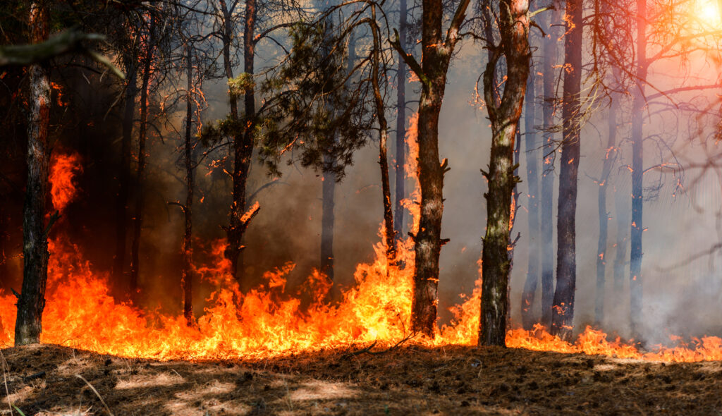 Este iadul pe pământ! O regiune extrem de vizitată de români arde ca o torță