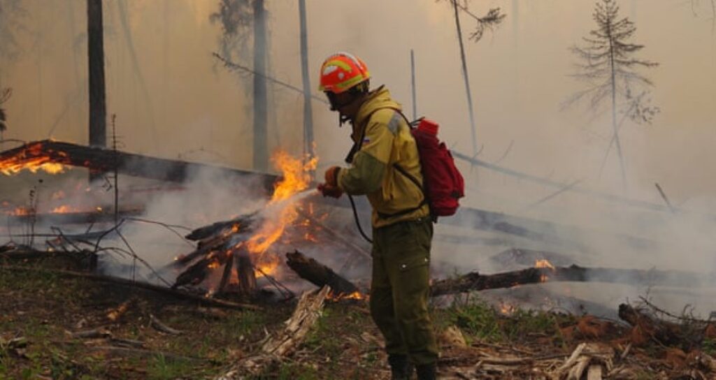 Rusia intervine după ce aproximativ 800 mii de hectare de pădure rusească au fost dărâmate de incendii uriașe!
