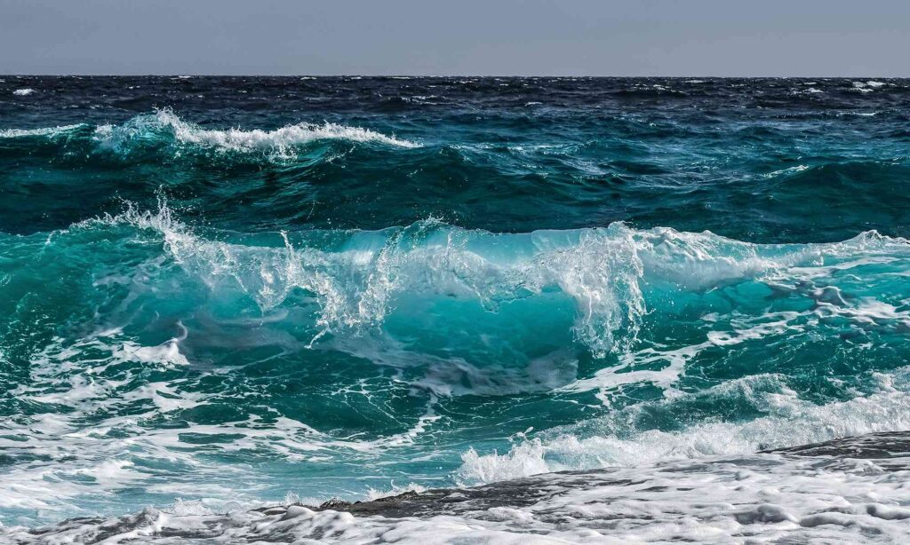 Oceanele rămân fără oxigen. Omenirea este în pericol?