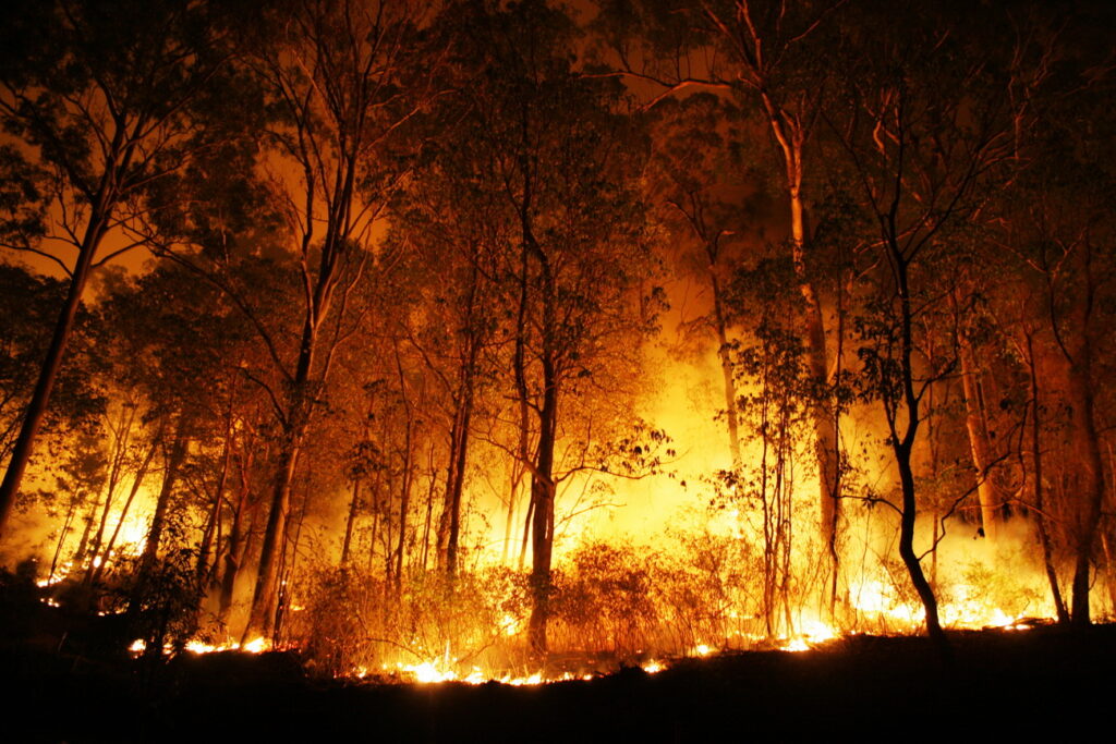 Ard munții în România! Pompierii se luptă cu flăcările. Nu au reușit să stingă incendiul nici acum