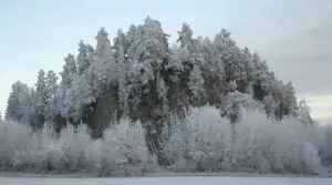 O vreme cruntă lovește România! ANM a anunțat ce urmează să se întâmple