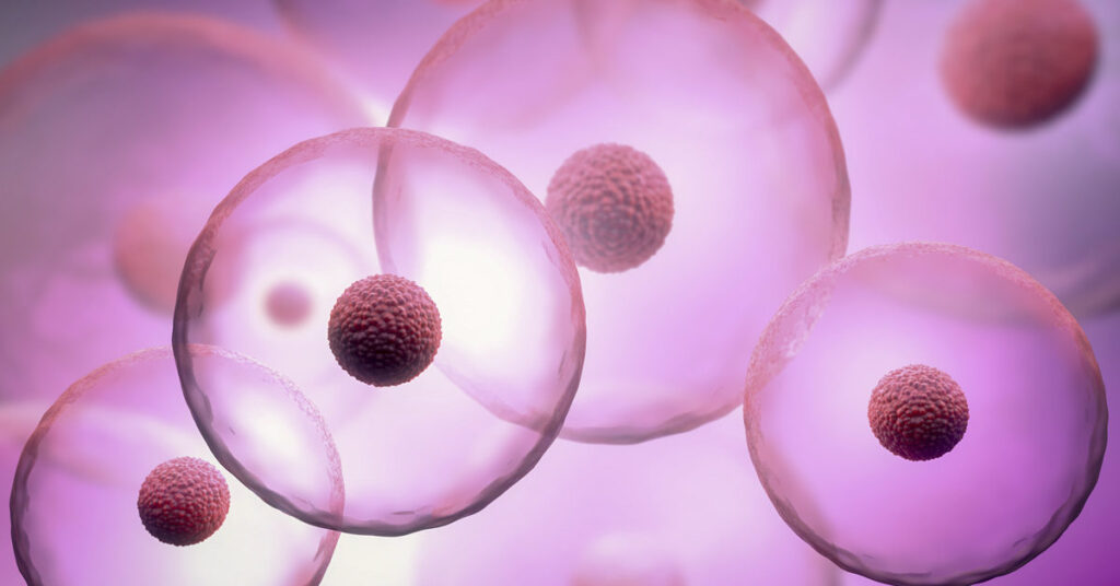 Imunitatea mediată celular, mult mai eficientă în eradicarea virusurilor