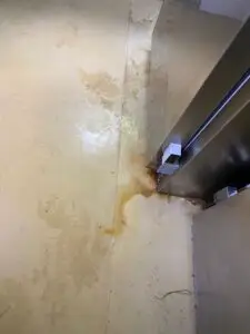 Dezastru total la hotelurile de 5 stele. Nereguli grave în urma controalelor: Mâncare expirată și insecte