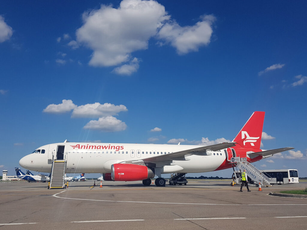 AEGEAN Airlines își mărește cota de participaţie ȋn Animawings