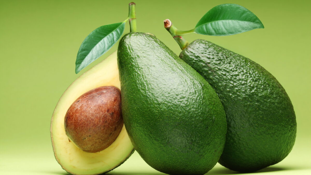 De ce nu se poate planta copacul de avocado Hass din semințele unui fruct