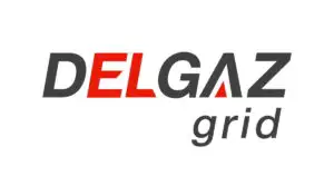 Finanţare europeană pentru Delgaz Grid. Sute de angajaţi îşi vor dezvolta competenţele digitale