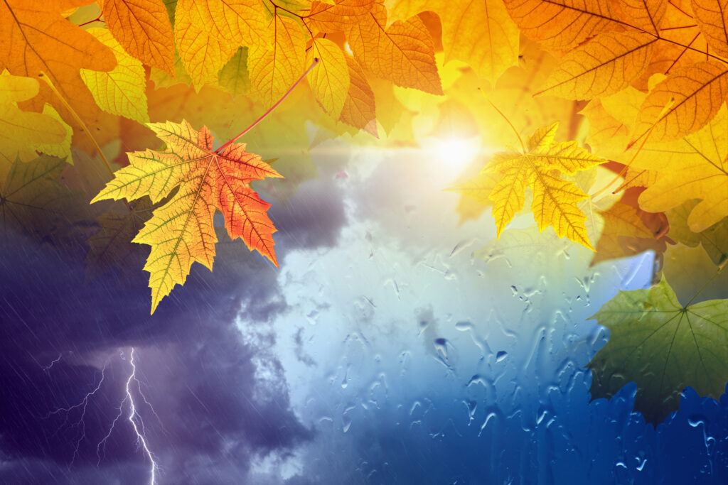 Vremea schimbă foaia în România. Avertismentul meteorologilor pentru acest weekend: Ploaie și burniță