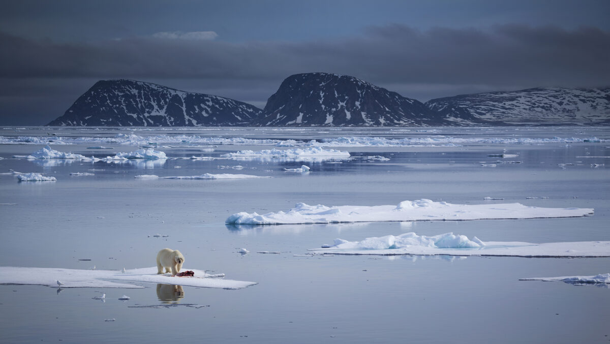 Cum va arăta Pământul dacă toată gheața sa se va topi? Iată ce au descoperit oamenii de știință (VIDEO)