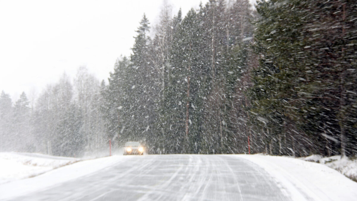 Viscol și ninsori în România! ANM a emis Cod Galben de vreme rea