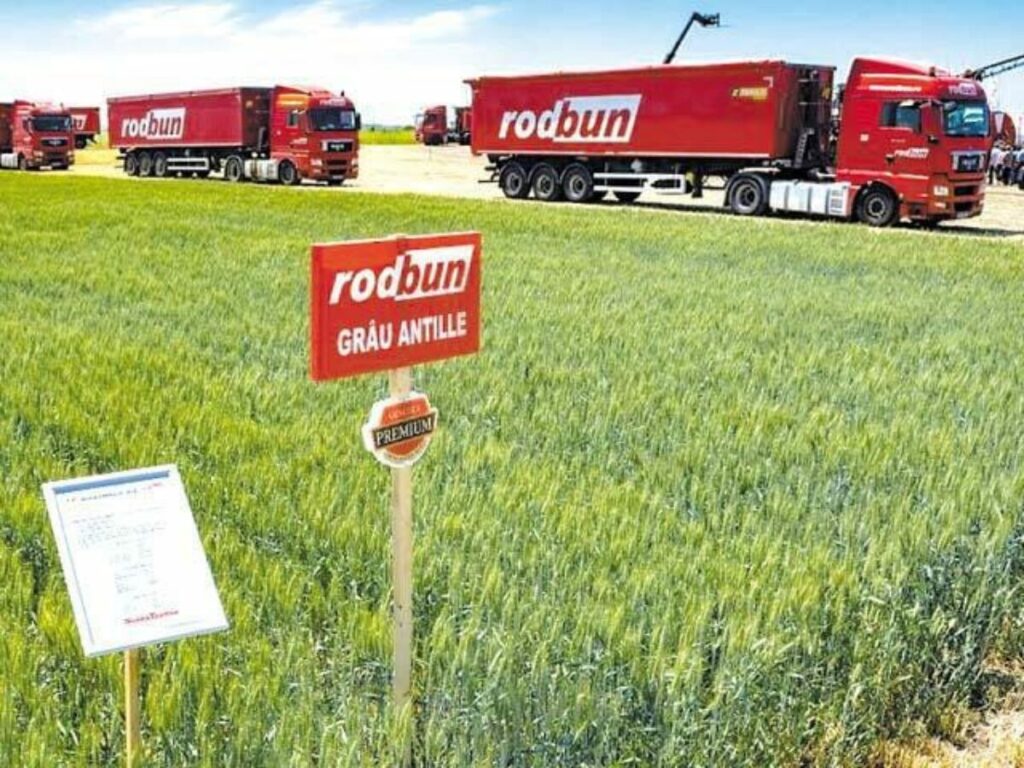 Rodbun a făcut pasul de la „agro-farming” înspre o companie biotech